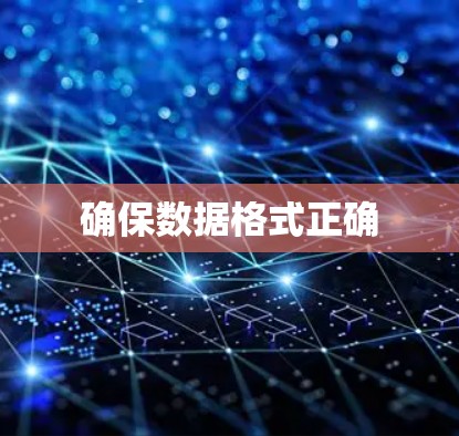 确保数据格式正确