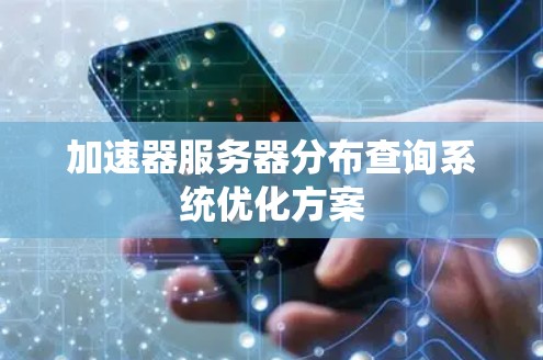 加速器服务器分布查询系统优化方案