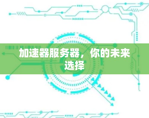 加速器服务器,你的未来选择