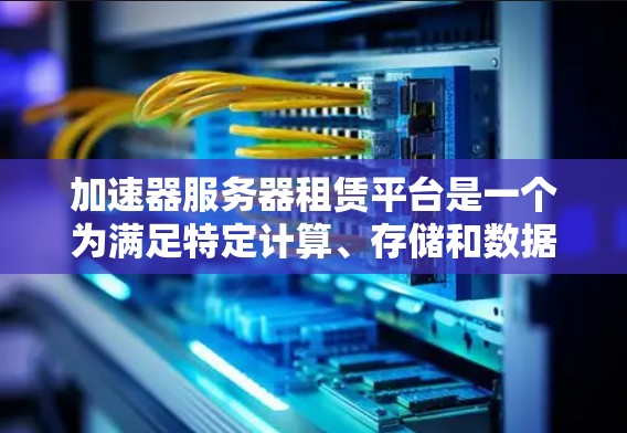 加速器服务器租赁平台是一个为满足特定计算、存储和数据传输需求提供服务的解决方案。以下是对该平台的详细分析