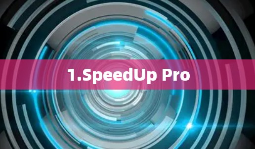 1.SpeedUp Pro