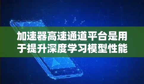加速器高速通道平台是用于提升深度学习模型性能的专用加速器，结合了CPU和GPU的计算能力。以下是关于这些平台的详细信息