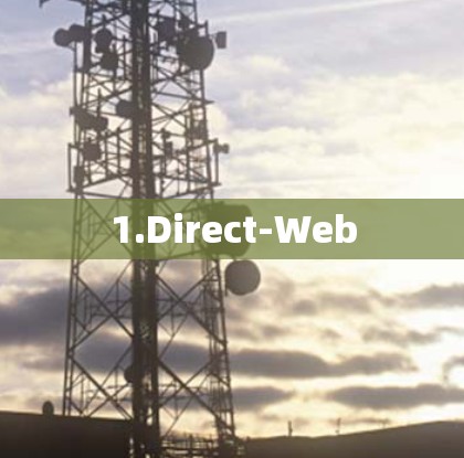 1.Direct-Web