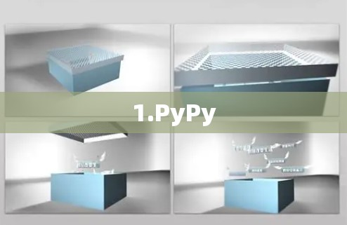 1.PyPy