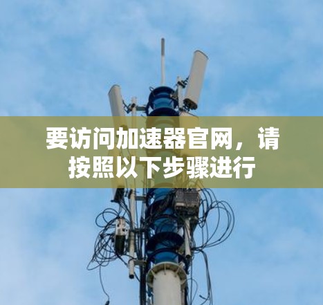 要访问加速器官网,请按照以下步骤进行