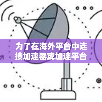 为了在海外平台中连接加速器或加速平台，可以按照以下步骤进行