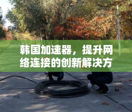 韩国加速器，提升网络连接的创新解决方案