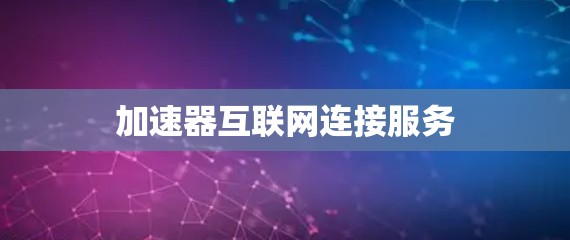 加速器互联网连接服务
