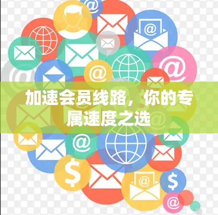 加速会员线路,你的专属速度之选