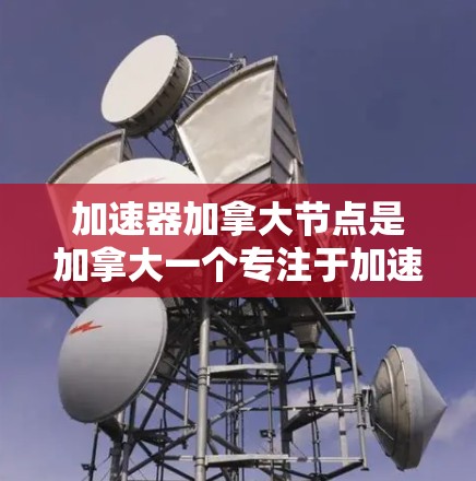 加速器加拿大节点是加拿大一个专注于加速器技术的研究和开发项目,主要涉及加速器的设计、制造、维护和应用。以下是对这个领域的详细介绍