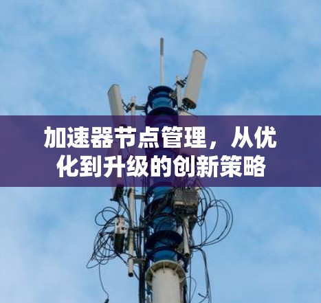加速器节点管理,从优化到升级的创新策略