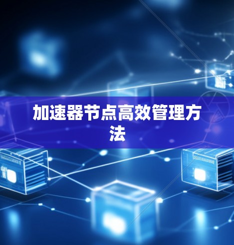 加速器节点高效管理方法