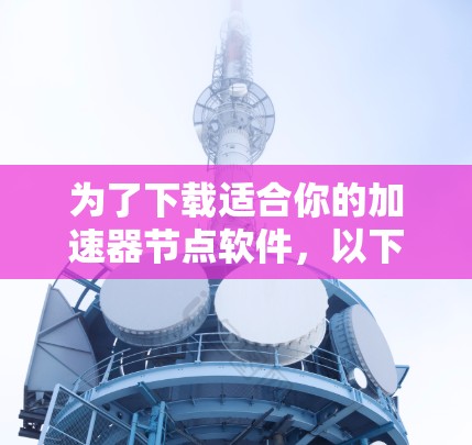 为了下载适合你的加速器节点软件,以下是分步指南
