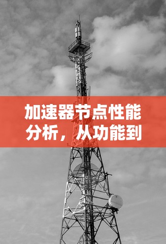 加速器节点性能分析,从功能到挑战