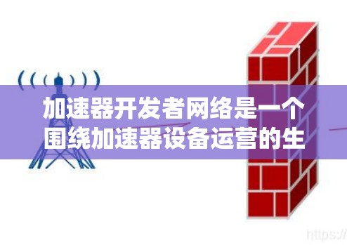 加速器开发者网络是一个围绕加速器设备运营的生态系统，涉及多个行业和团队。以下是对该网络的详细分析