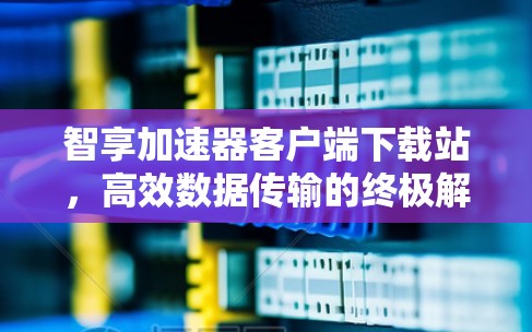 智享加速器客户端下载站，高效数据传输的终极解决方案