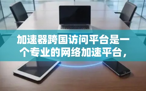 加速器跨国访问平台是一个专业的网络加速平台，设计为方便不同国家或地区的访问者进行跨文化交流和信息共享。以下是该平台的详细介绍