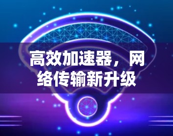 高效加速器，网络传输新升级