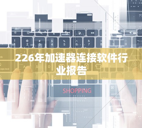 226年加速器连接软件行业报告