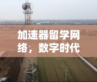 加速器留学网络，数字时代创新的新引擎