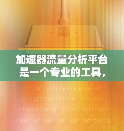 加速器流量分析平台是一个专业的工具，用于分析网络流量，帮助开发者、安全工程师和网络安全专家优化网络性能并预防攻击。以下是该平台的主要功能和特点