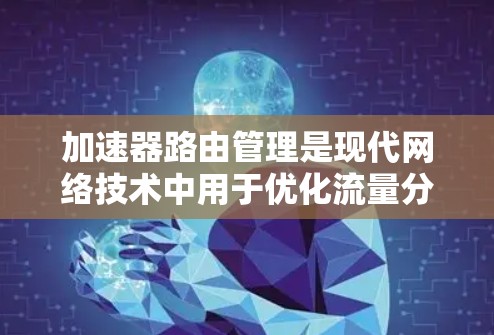 加速器路由管理是现代网络技术中用于优化流量分配和路由策略的重要组成部分。以下是对该领域内容的详细总结和学习建议