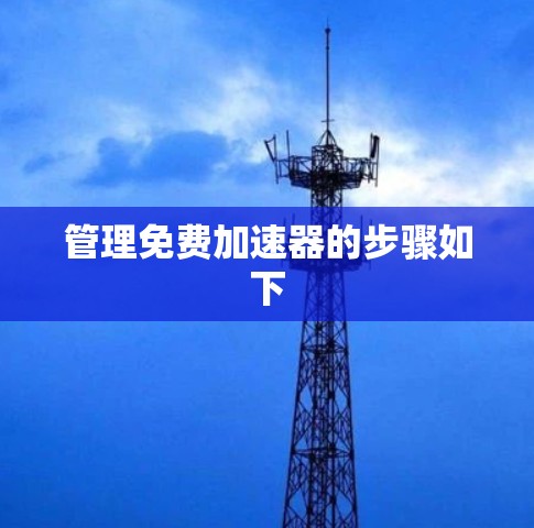 管理免费加速器的步骤如下