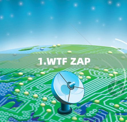 1.WTF ZAP