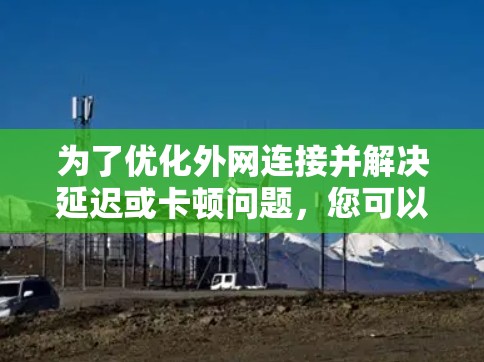 为了优化外网连接并解决延迟或卡顿问题，您可以按照以下步骤进行