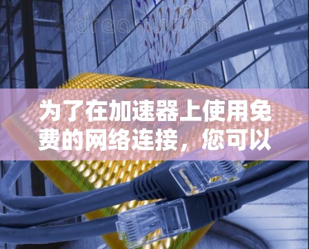 为了在加速器上使用免费的网络连接，您可以按照以下步骤操作