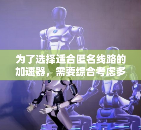 为了选择适合匿名线路的加速器，需要综合考虑多个因素，包括加速器的类型、功率、电压、接续相间、安全性、长期环境、性能参数、工作电压、材料选择以及安装维护。以下是详细的步骤指南