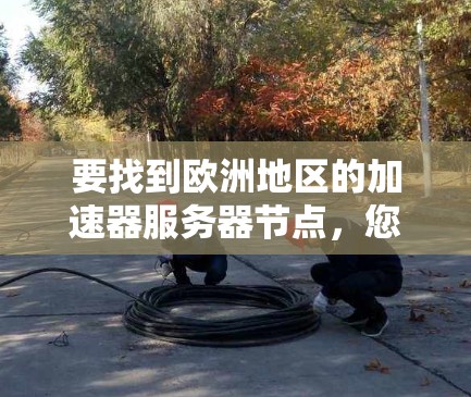 要找到欧洲地区的加速器服务器节点，您可以按照以下步骤进行操作