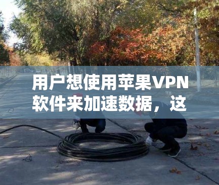 用户想使用苹果VPN软件来加速数据，这可能是因为他们希望在苹果设备上进行VPN，并且希望加速他们的网络流量
