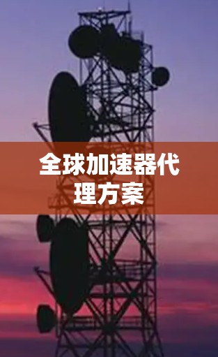 全球加速器代理方案