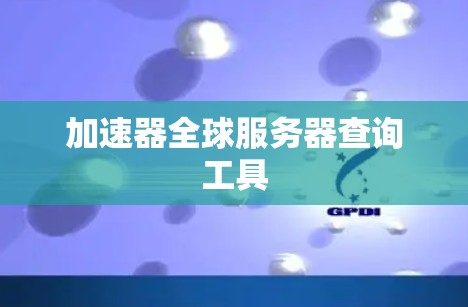 加速器全球服务器查询工具