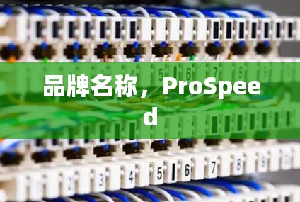 品牌名称,ProSpeed