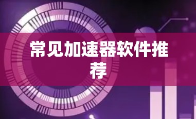 常见加速器软件推荐