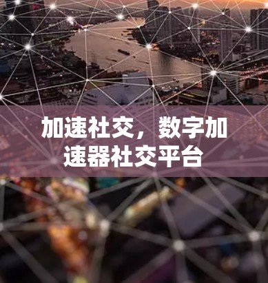 加速社交,数字加速器社交平台