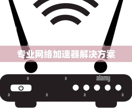 专业网络加速器解决方案