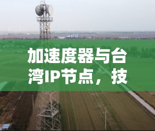 加速度器与台湾IP节点，技术领先与应用突破
