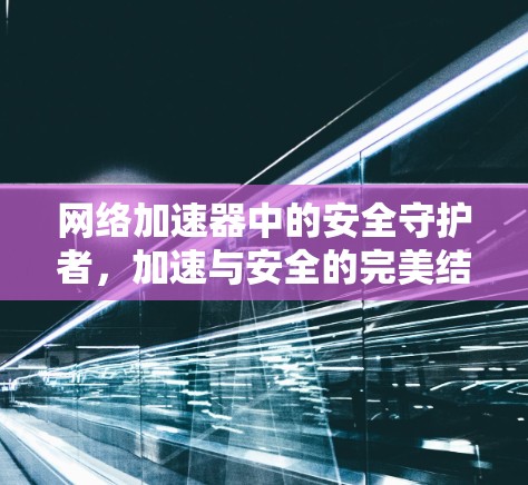 网络加速器中的安全守护者，加速与安全的完美结合