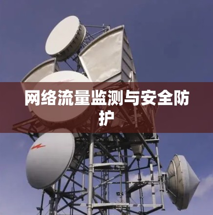网络流量监测与安全防护