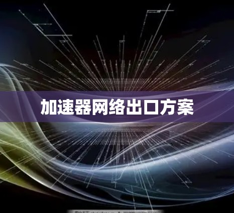 加速器网络出口方案