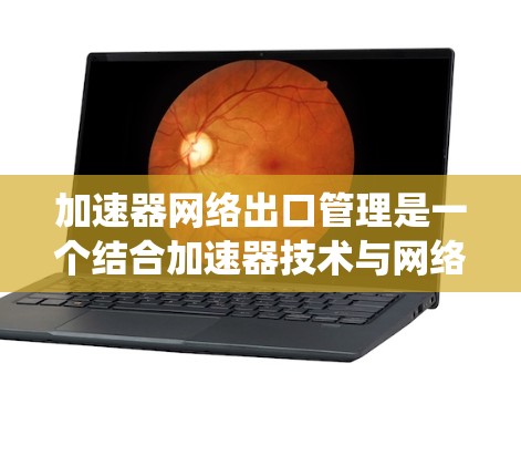 加速器网络出口管理是一个结合加速器技术与网络安全管理的领域，旨在优化数据传输性能并保障数据安全。以下是对该领域的系统性总结