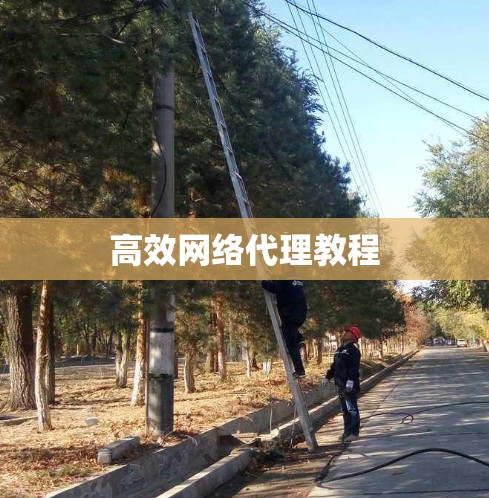 高效网络代理教程