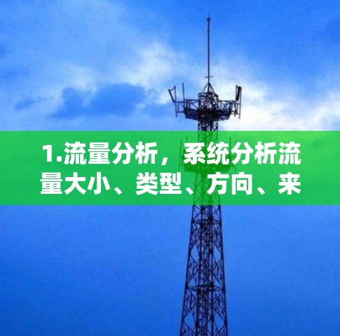1.流量分析，系统分析流量大小、类型、方向、来源，识别异常流量，如突然增加或重复流量
