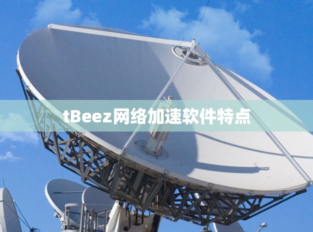 tBeez网络加速软件特点