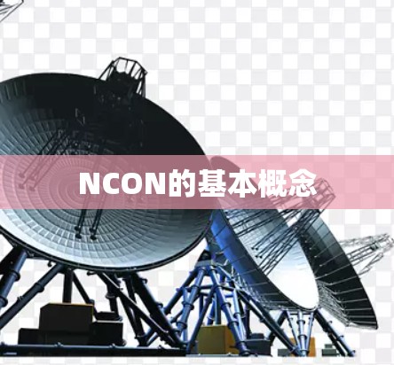 NCON的基本概念