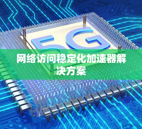 网络访问稳定化加速器解决方案