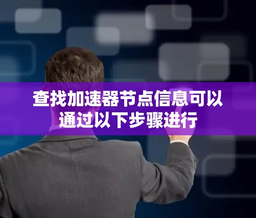 查找加速器节点信息可以通过以下步骤进行